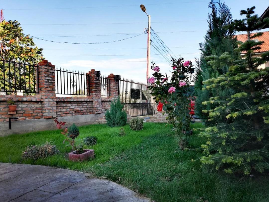 فندق Casa Alba Năvodari المظهر الخارجي الصورة