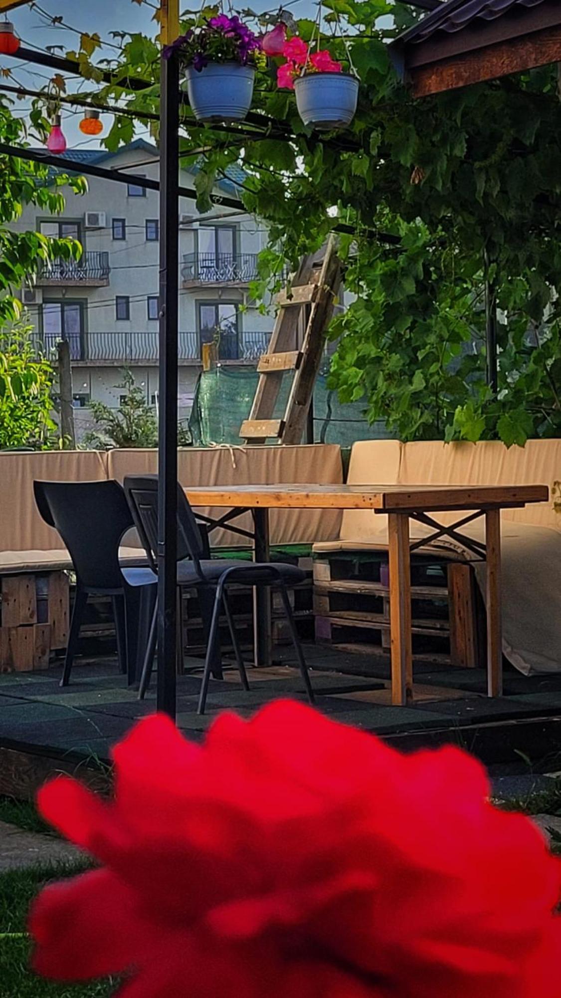 فندق Casa Alba Năvodari المظهر الخارجي الصورة